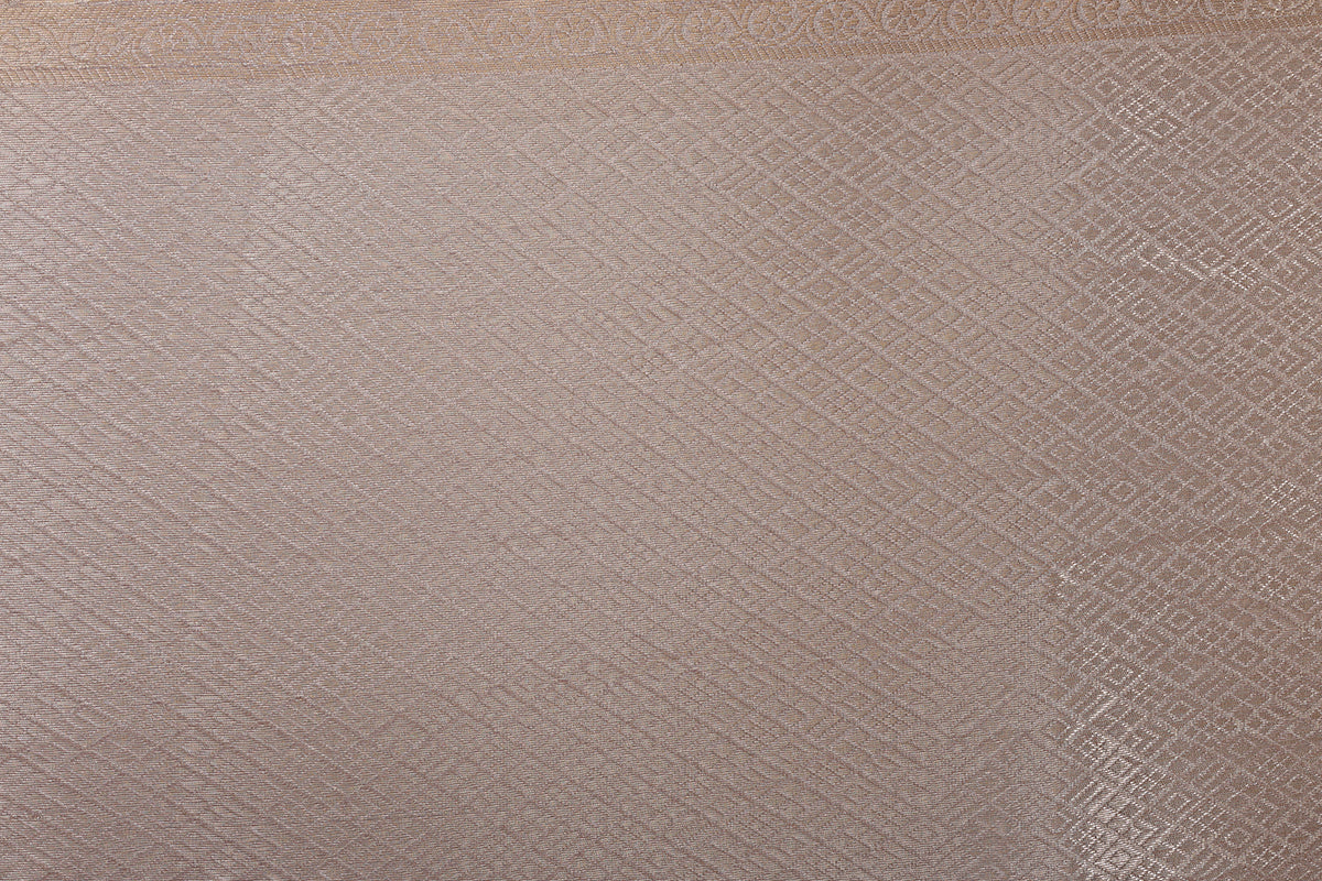 Silver-Gold Banarasi Tissue Saree with Intricate Weaving