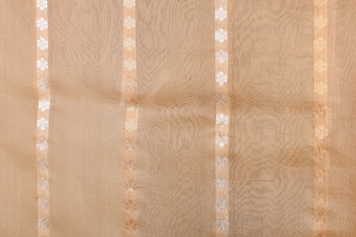 Beige Pure Organza Silk Banarasi Saree with Sona Rupa Weave