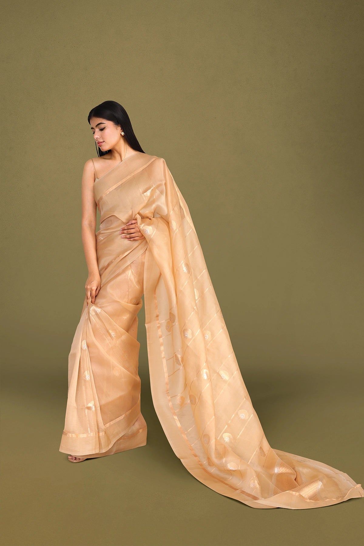 Beige Pure Organza Silk Banarasi Saree with Sona Rupa Weave