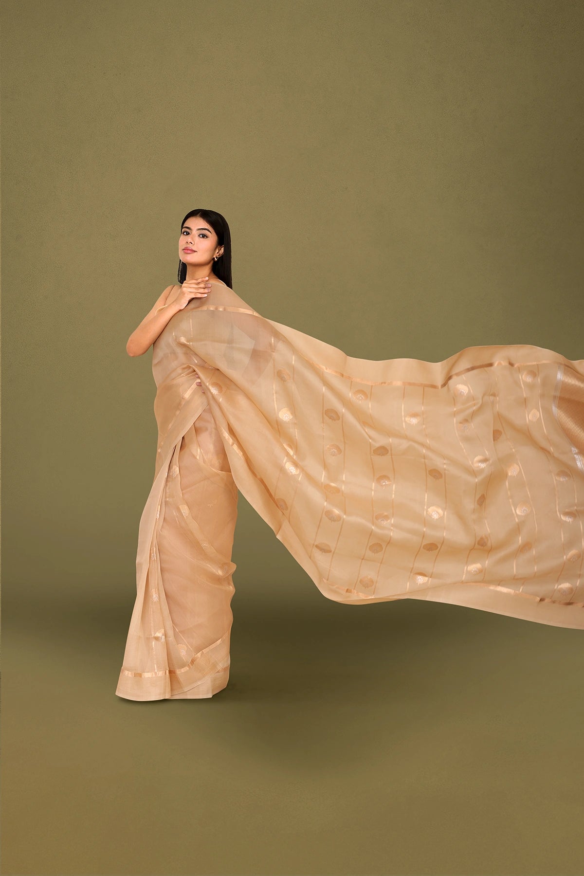 Beige Pure Organza Silk Banarasi Saree with Sona Rupa Weave