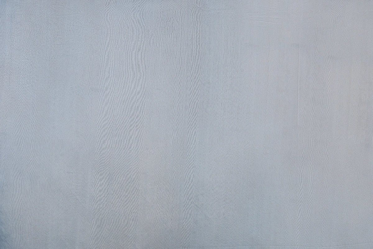 Sky Blue Pure Organza Silk Banarasi Saree with Sona Rupa Weave