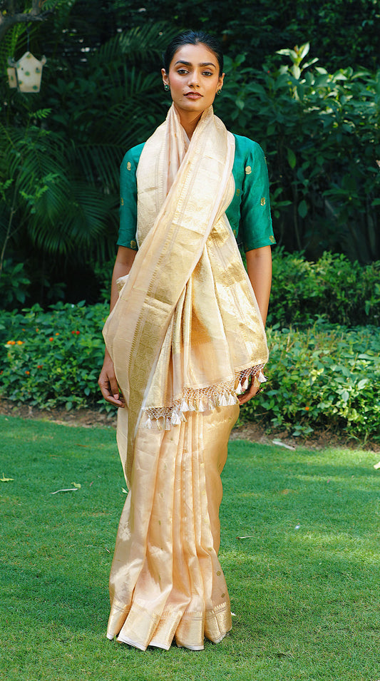 Pure tissue saree with zari border, booties all over