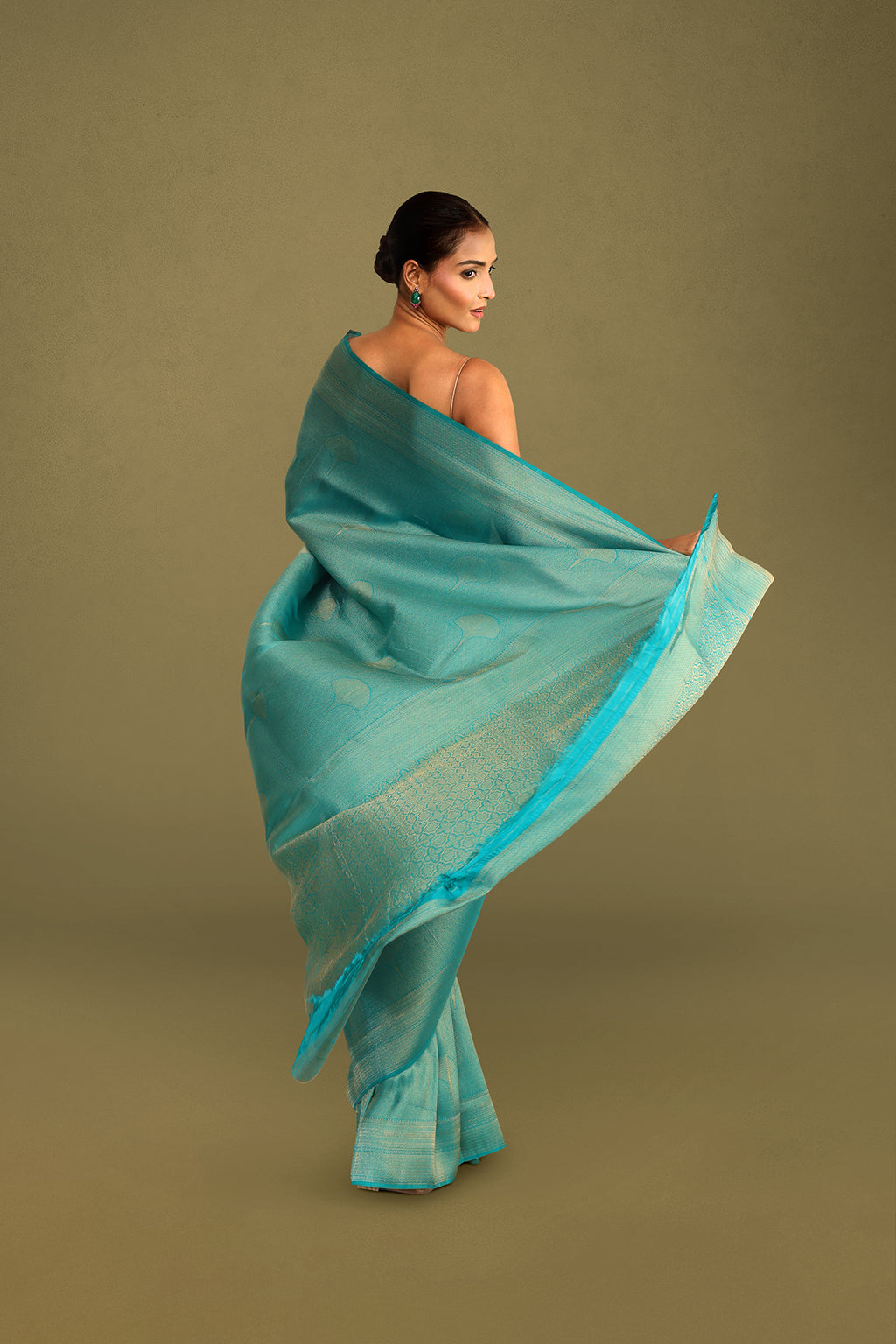 Sea Green Tanchoi Brocade Banarasi Silk Saree