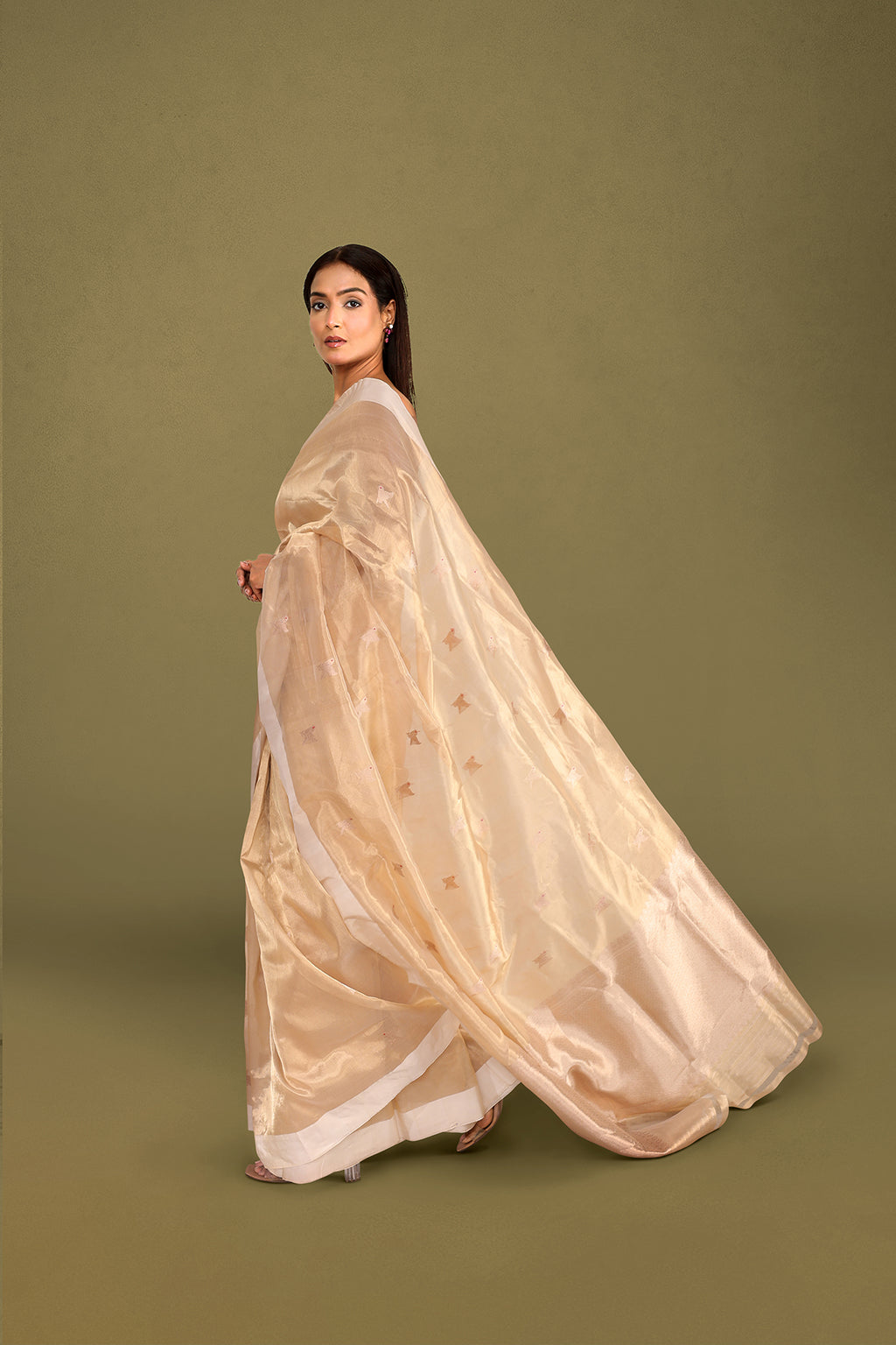 Champagne Gold Tissue Banarasi Saree with Handwoven Bird Motifs