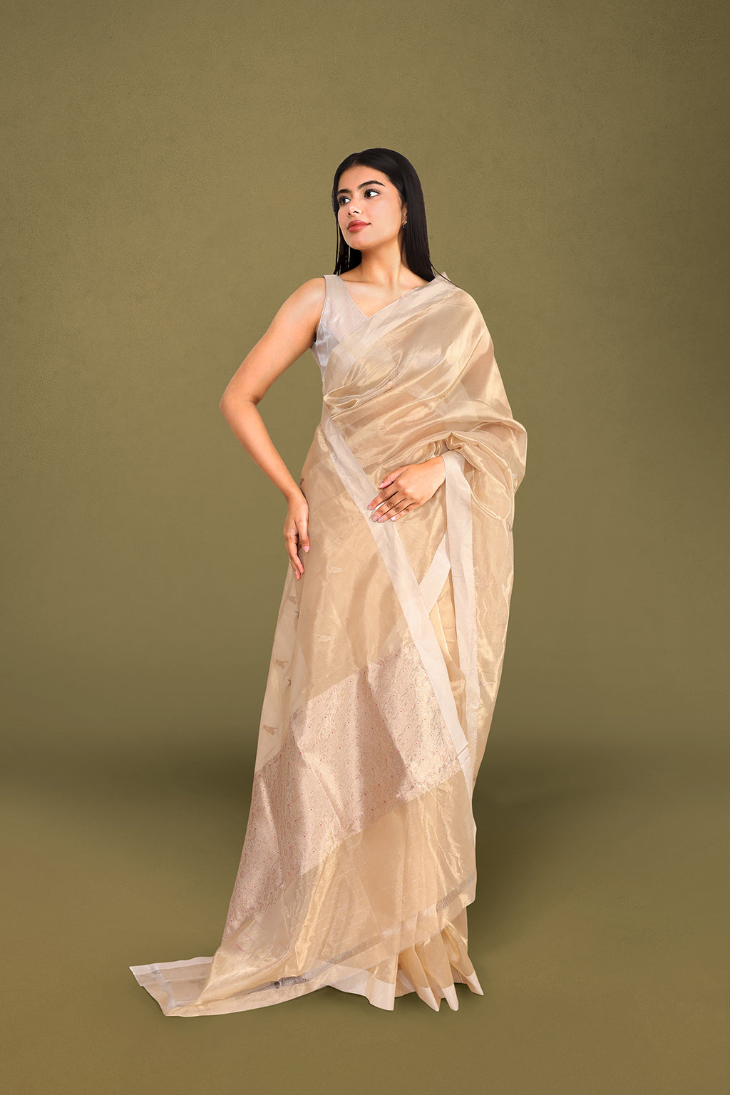 Champagne Gold Tissue Banarasi Saree with Handwoven Bird Motifs