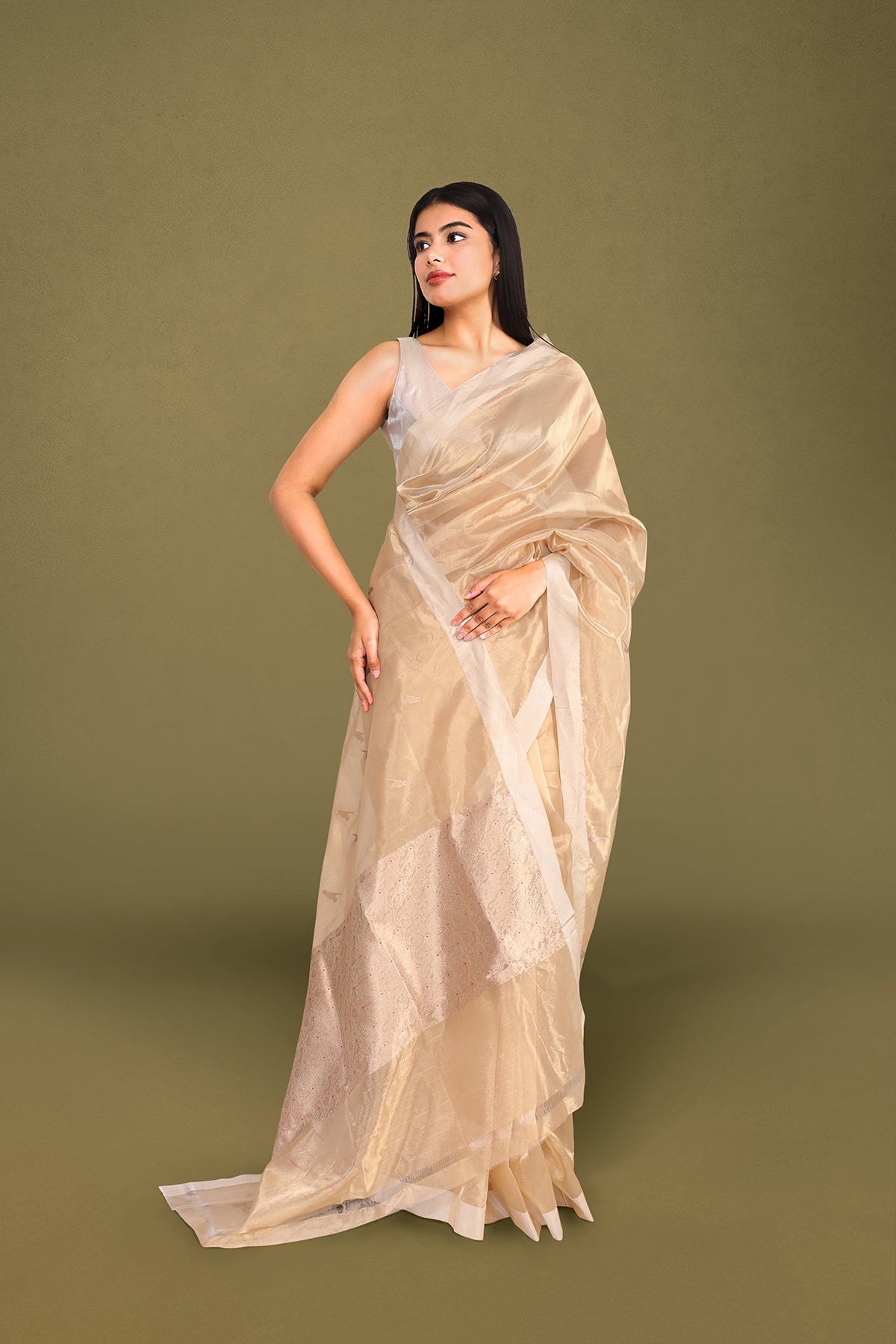 Champagne Gold Tissue Banarasi Saree with Handwoven Bird Motifs