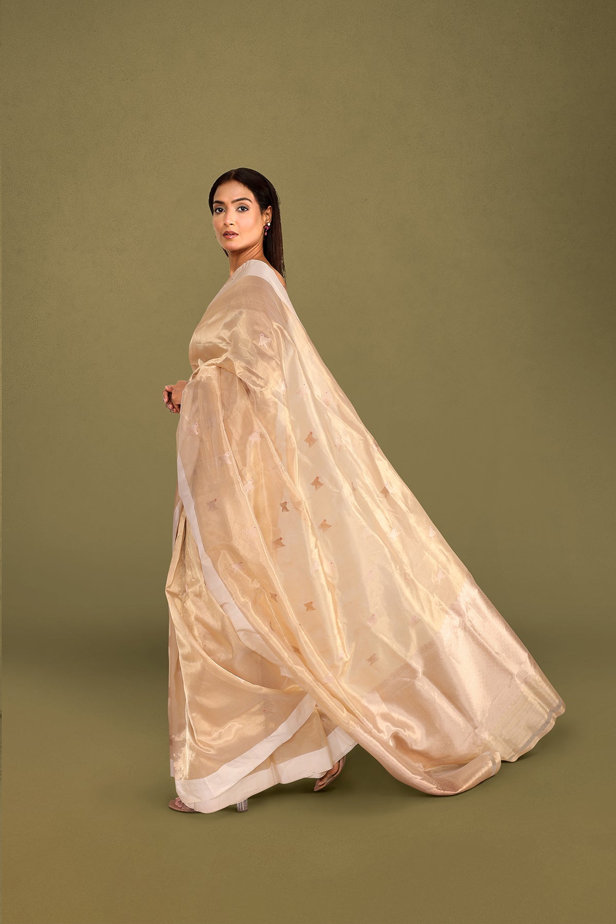 Pure Tissue Banarasi Saree with Handwoven Bird Motifs – Ivory
