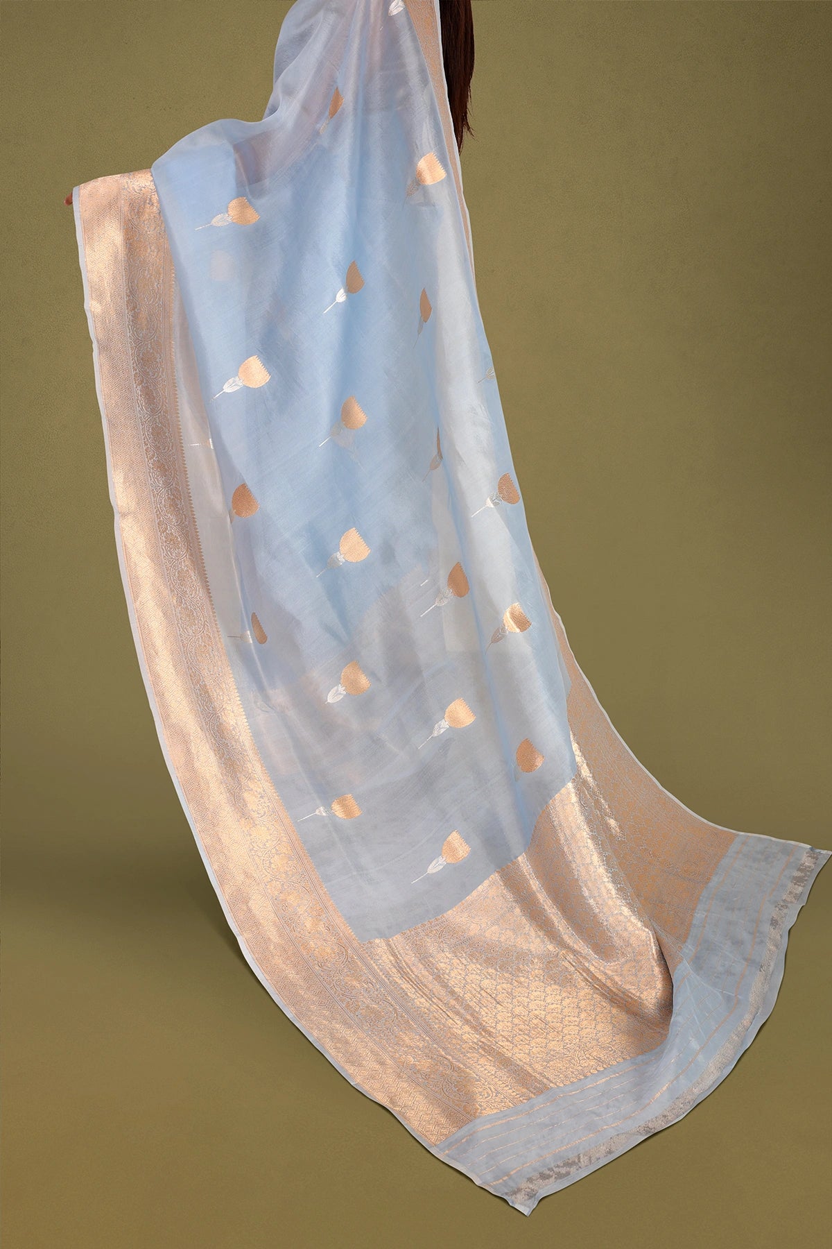 Sky Blue Pure Organza Silk Banarasi Saree with Sona Rupa Weave