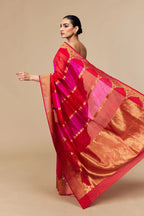 Red pallu with golden detailing and rich border design