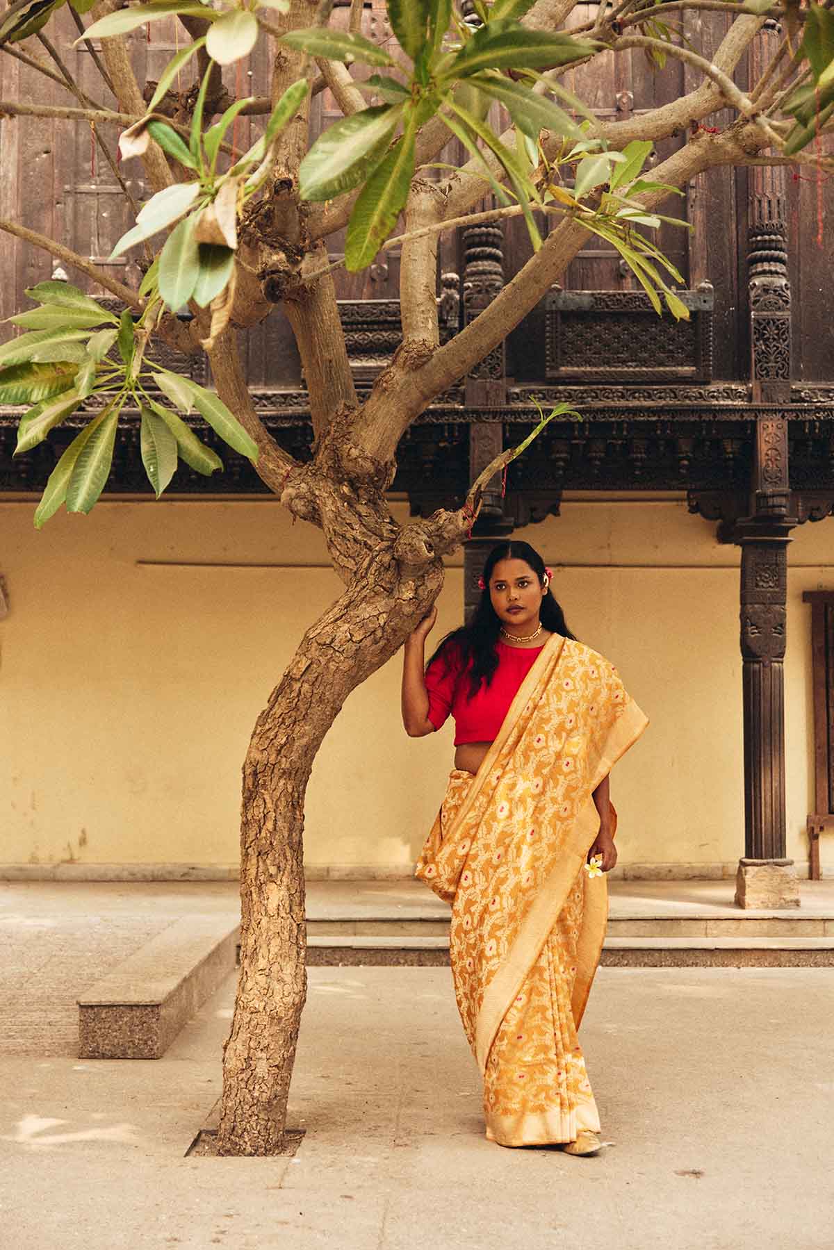 Pure Silk Banarasi Saree with Figured Minedar Weave – Mustard Gold